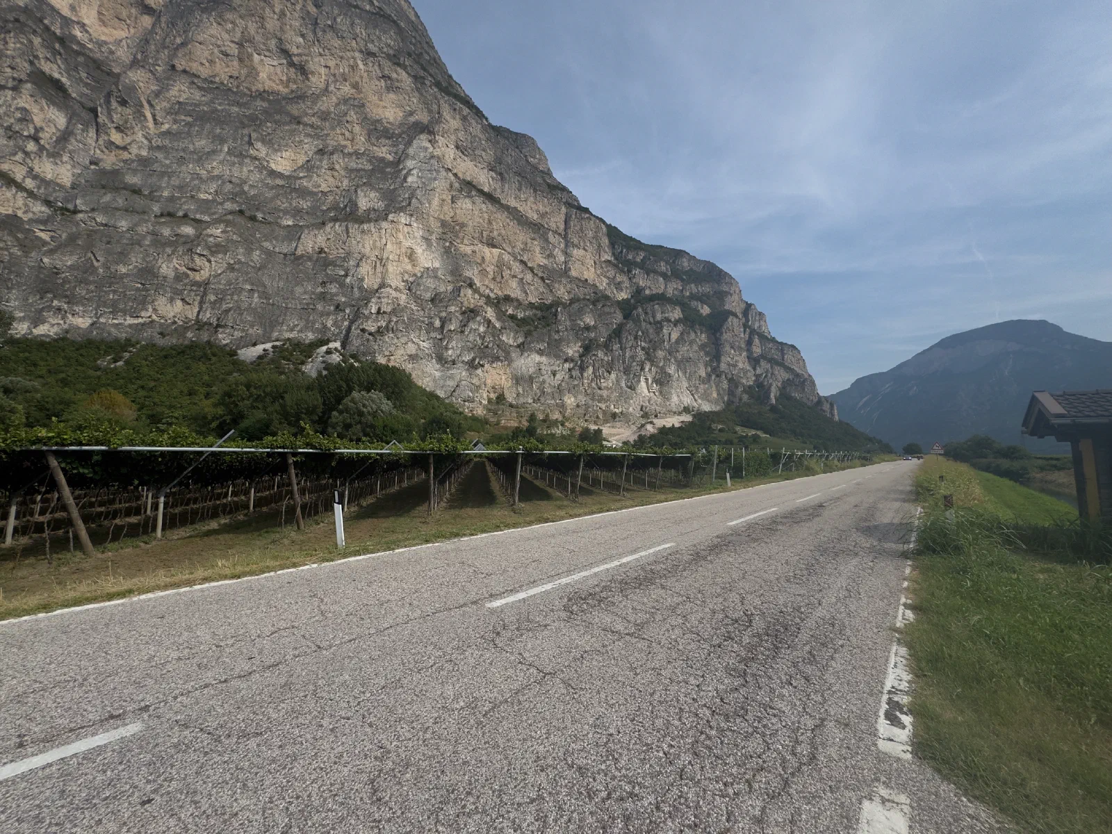 An empty country road runs past vines on wire trellises, on the left a bright rock face rises, on the right stands a small wooden roof, in the background a mountain under a blue sky